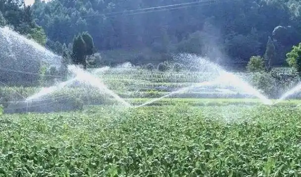 u = 1850154169,2539026387 & fm=253 & fmt=Auto_ 副本