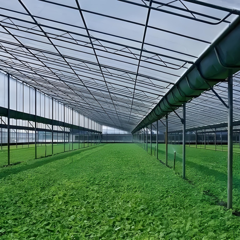 ¿Qué es un sistema de inyectores de fertilizantes líquidos para el césped y la agricultura?
