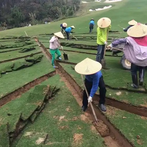 ¿Cómo seleccionar y arreglar la manguera de rociadores?