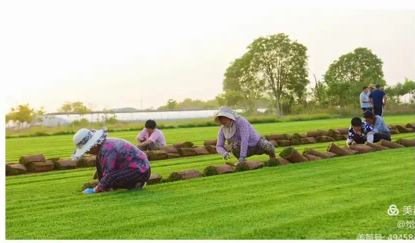 u = 2851500271,1641979821 & fm=253 & fmt=auto & app=138 & f=jpeg_ 副本