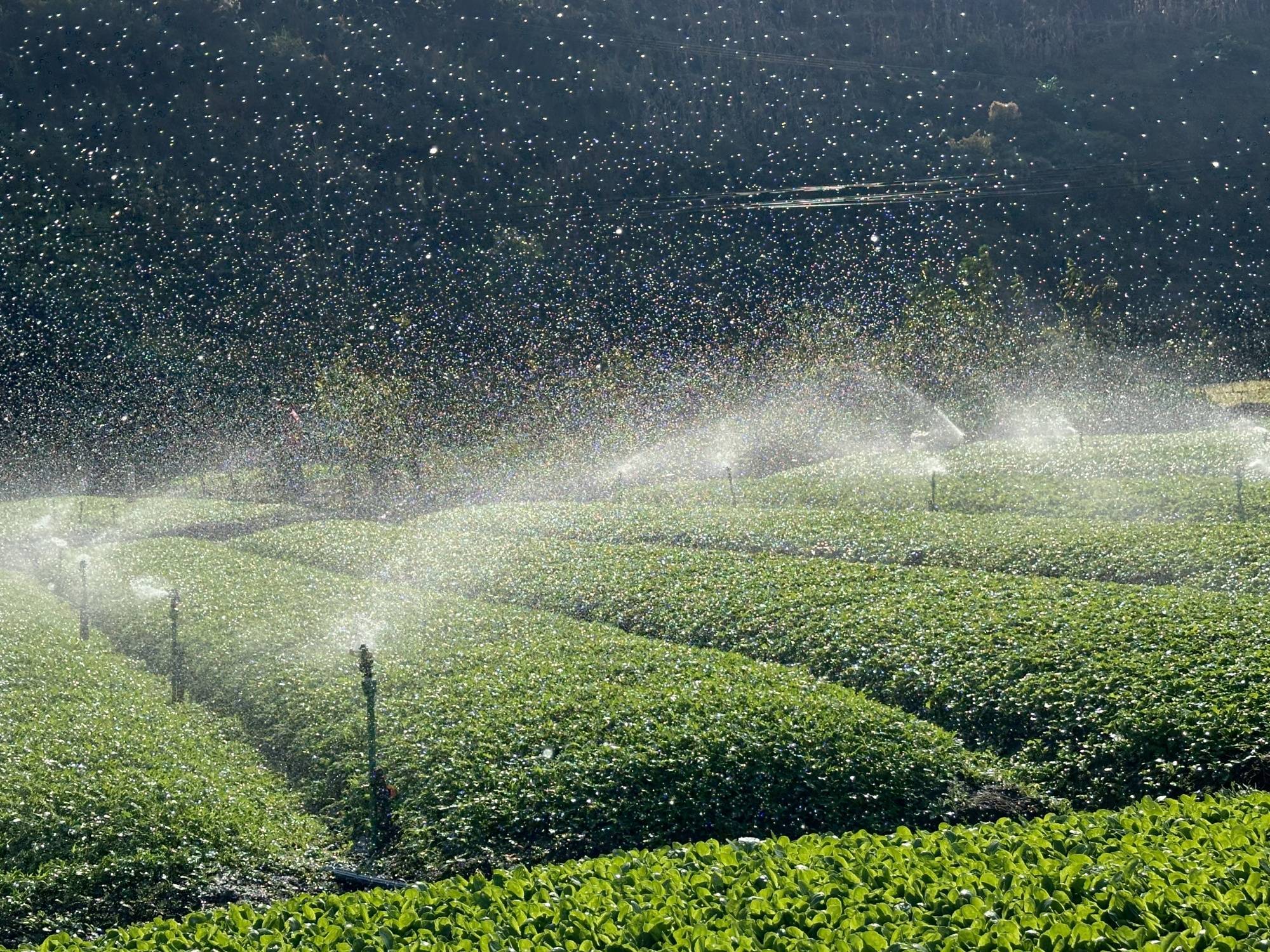 89D1CA0CB7454C1E9A61B3E780B737D9