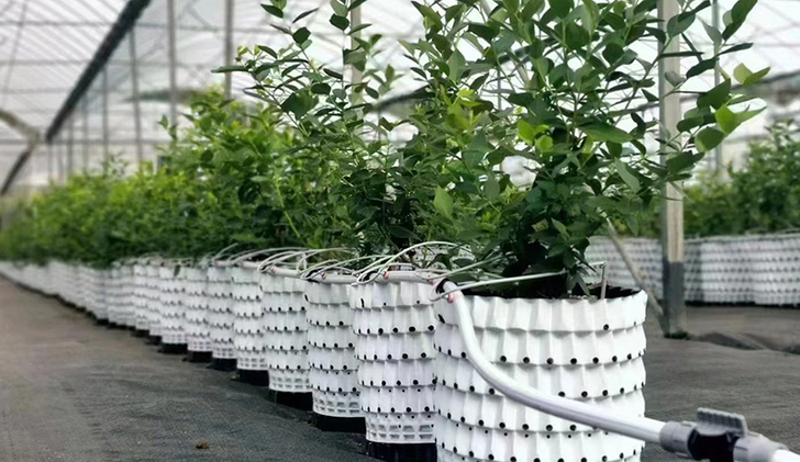  Aplicación del producto 