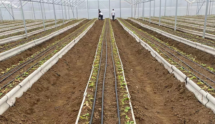 Aplicación del producto