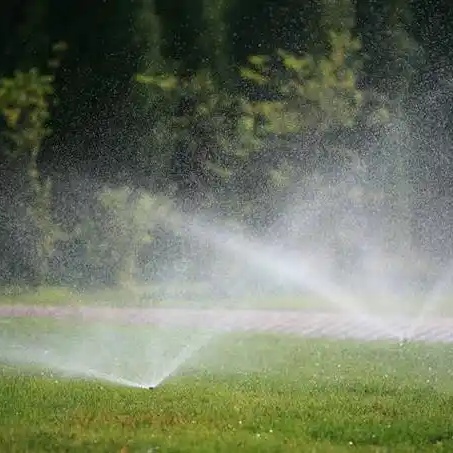 ¿Cómo crear el césped perfecto?