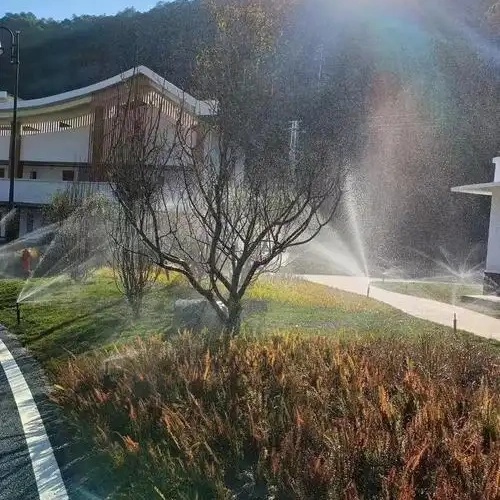 ¿Qué es el paisajismo para el patio trasero y el patio delantero?