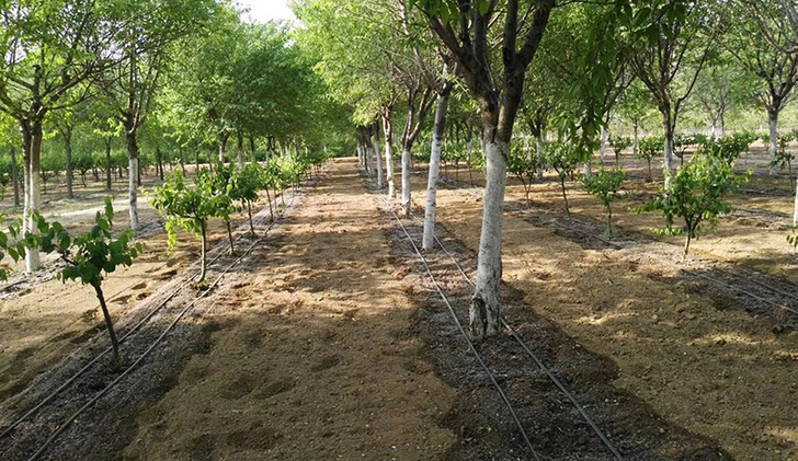  Aplicación del producto 
