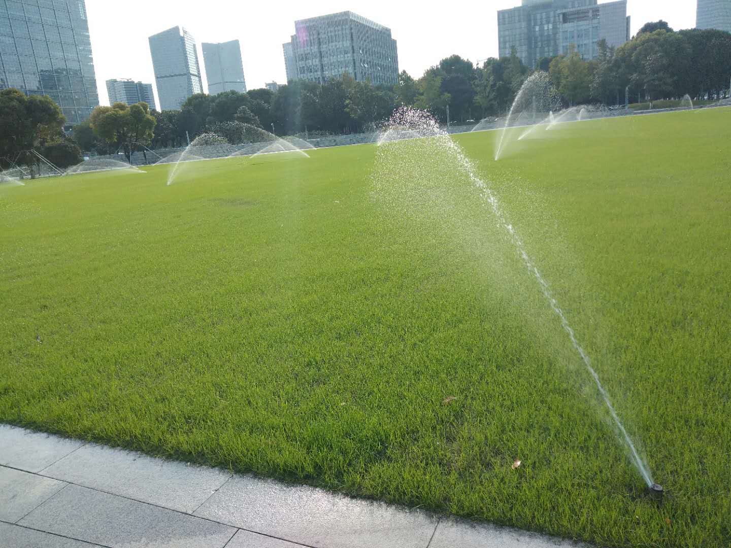 4 月 9 日