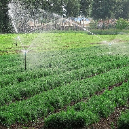 ¿Cuáles son las partes centrales de un sistema de riego de rociadores?