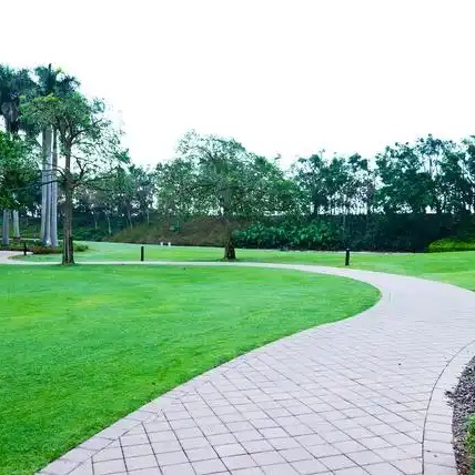 ¿Cuál es el papel vital de los rociadores y los sistemas de riego en el cuidado del césped?