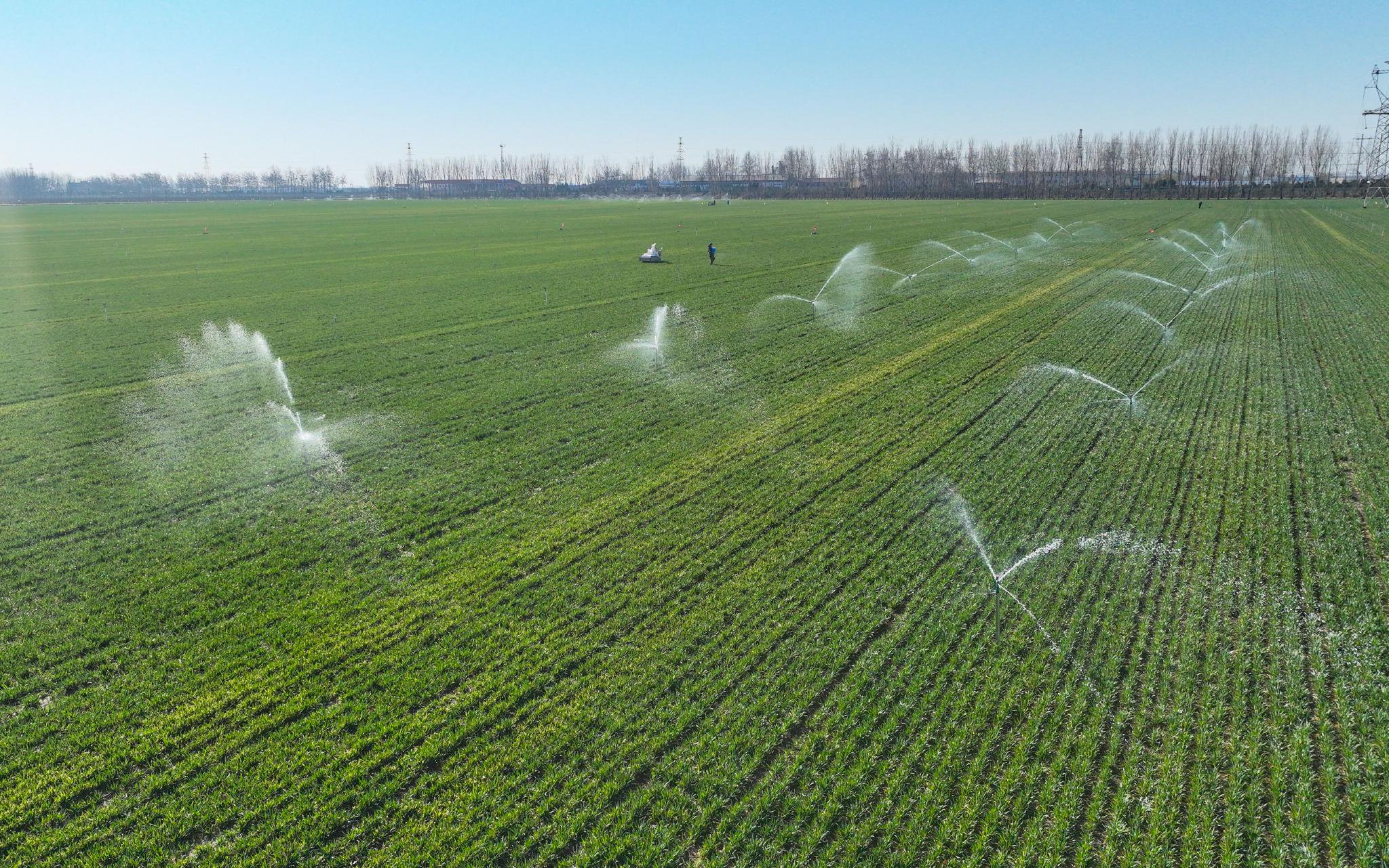 Los sistemas de rociadores aplican agua al paisaje de manera controlada