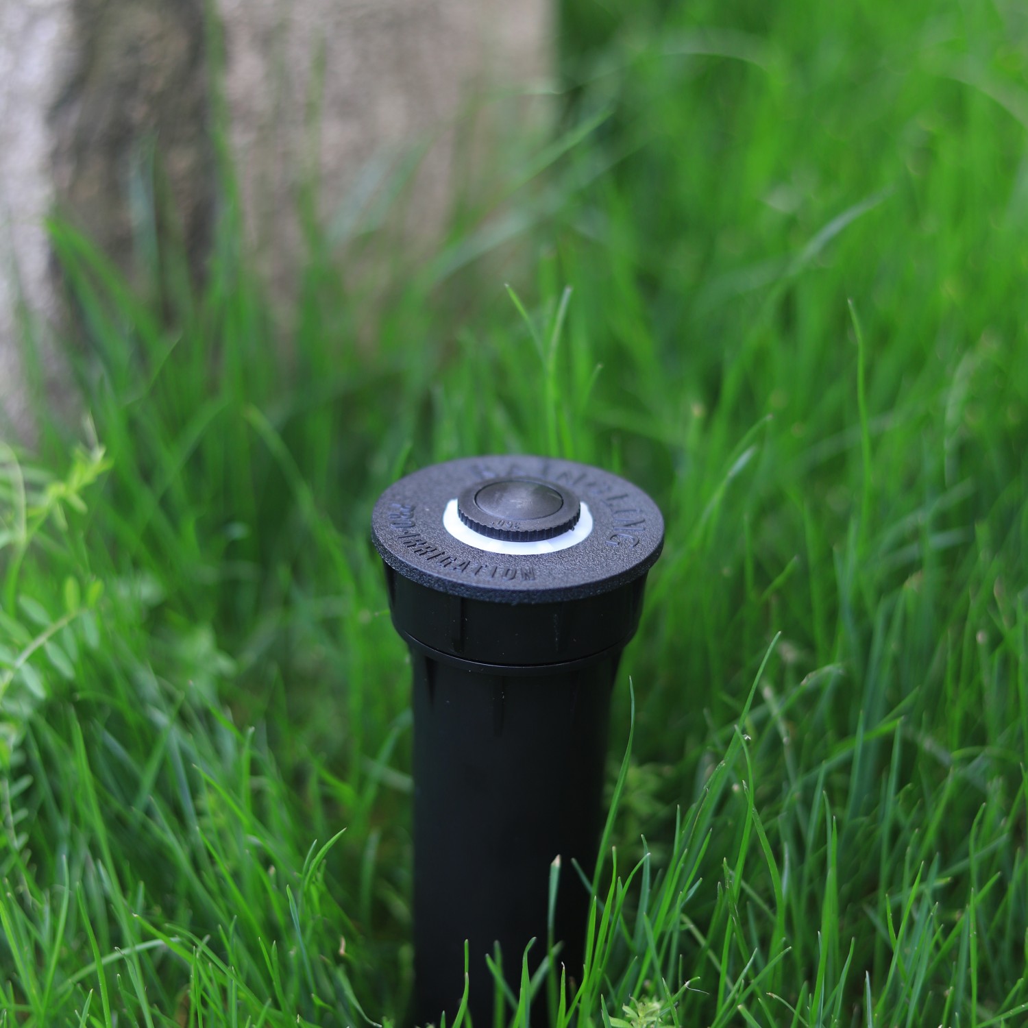 Rainirri 1/2 'Hilo interno ABS Pop Up Up Sprokler Cuerpo para Garden Lawn Sistema de gestión de riego